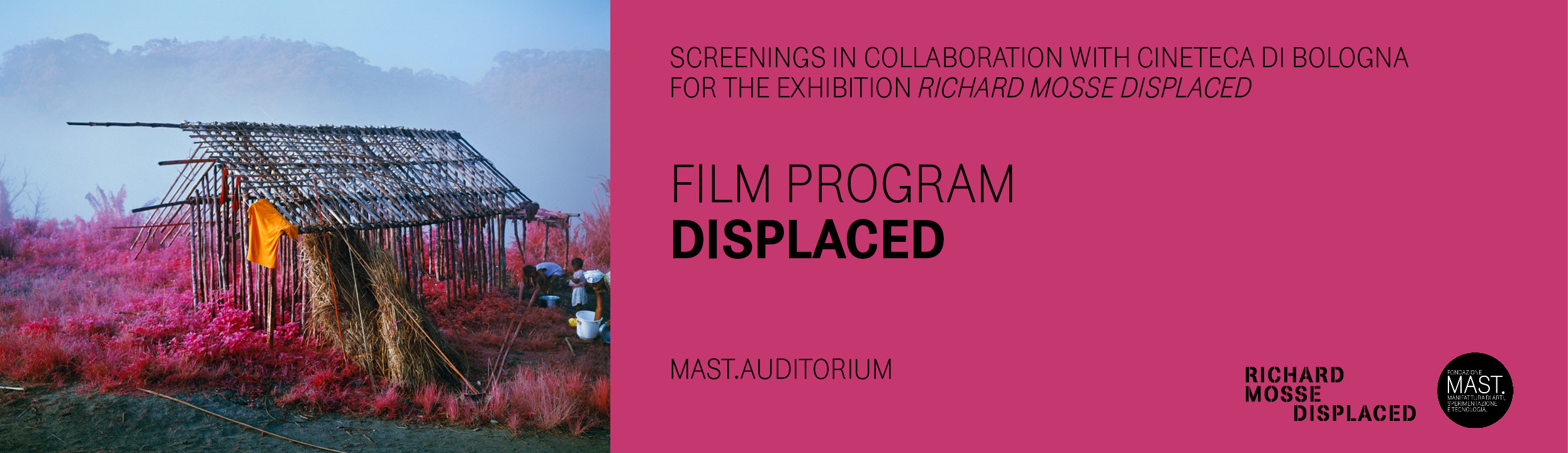 Rassegna cinematografica Displaced